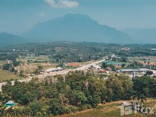 For sale land in Chiang Dao, Chiang Mai