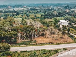 For sale land in Chiang Dao, Chiang Mai