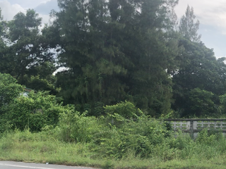 For sale land in Khanom, Nakhon Si Thammarat