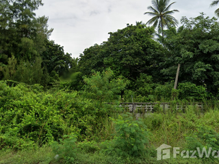 For sale land in Khanom, Nakhon Si Thammarat