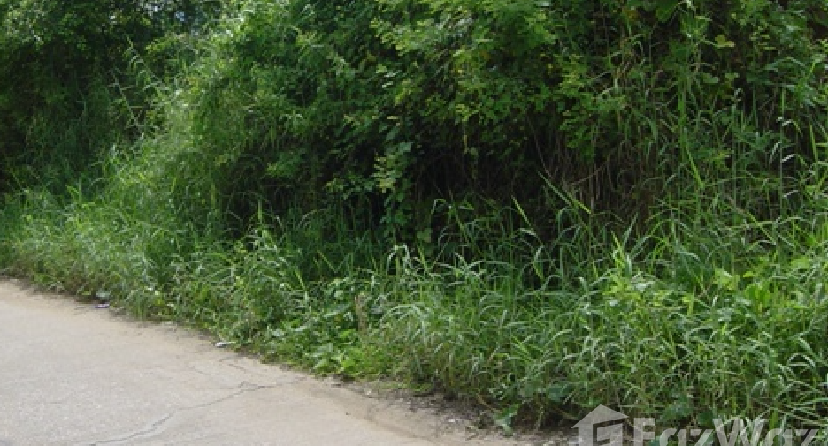 ขาย ที่ดิน ใน เมืองพิษณุโลก, พิษณุโลก
