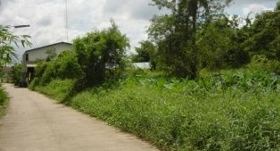 ขาย ที่ดิน ใน เมืองพิษณุโลก, พิษณุโลก