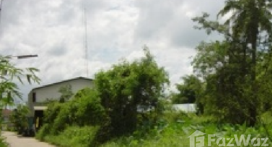 ขาย ที่ดิน ใน เมืองพิษณุโลก, พิษณุโลก