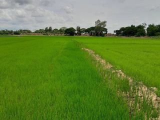 For sale land in Mueang Phitsanulok, Phitsanulok