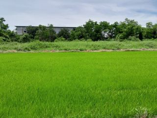 For sale land in Mueang Phitsanulok, Phitsanulok