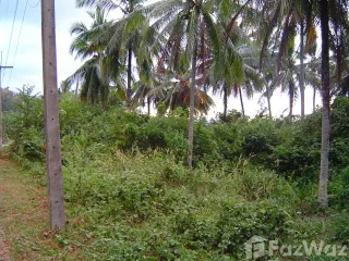 For sale land in Ko Yao, Phang Nga