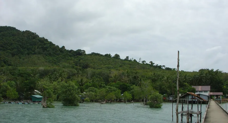 For sale land in Ko Yao, Phang Nga