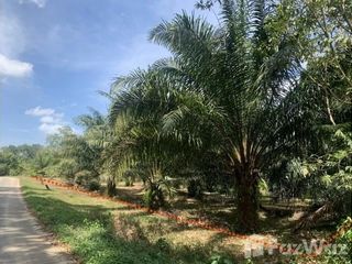 For sale land in Takua Pa, Phang Nga