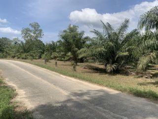 For sale land in Takua Pa, Phang Nga