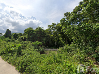 For sale land in Thung Tako, Chumphon
