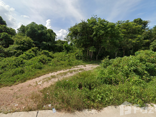 For sale land in Thung Tako, Chumphon