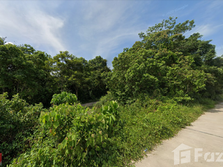 For sale land in Thung Tako, Chumphon