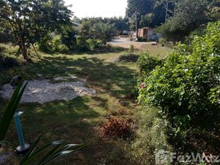 For sale land in Chiang Khan, Loei