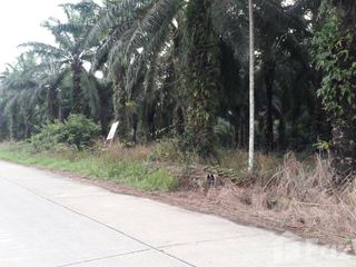 For sale land in Lamae, Chumphon