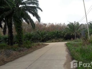 For sale land in Lamae, Chumphon
