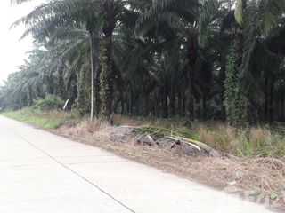 For sale land in Lamae, Chumphon