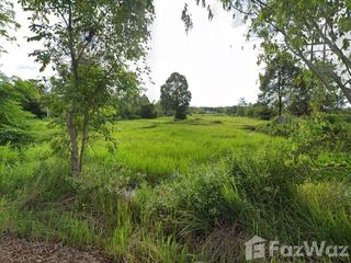 For sale land in Seka, Bueng Kan