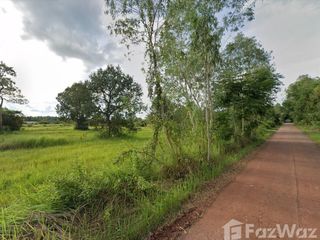 For sale land in Seka, Bueng Kan