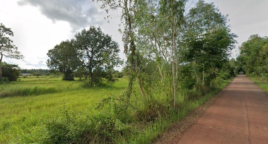 ขาย ที่ดิน ใน เซกา, บึงกาฬ