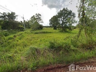 For sale land in Seka, Bueng Kan