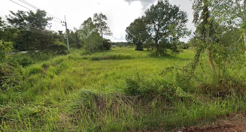 ขาย ที่ดิน ใน เซกา, บึงกาฬ