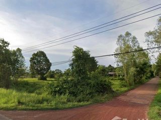 For sale land in Seka, Bueng Kan