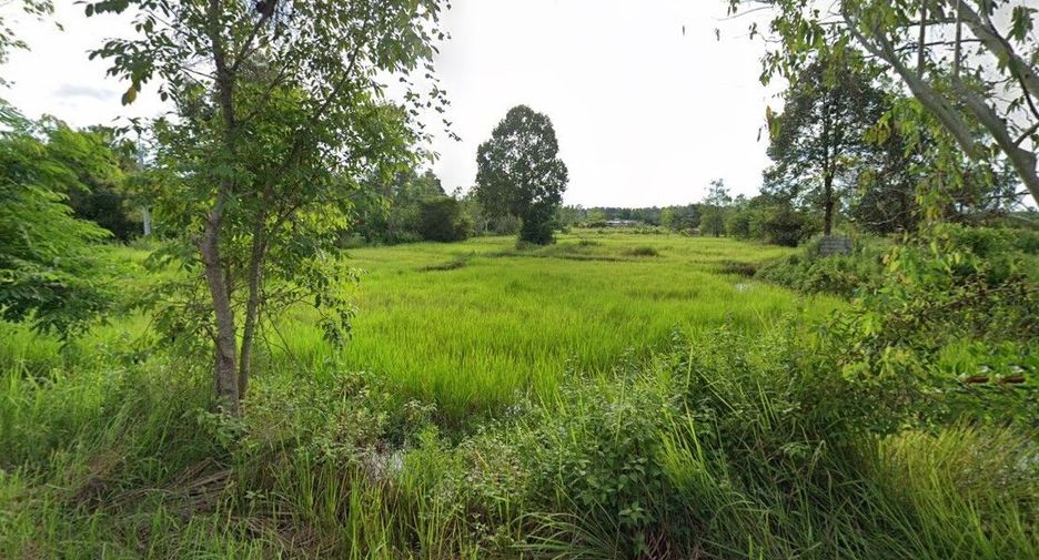 ขาย ที่ดิน ใน เซกา, บึงกาฬ
