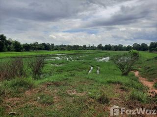 ขาย ที่ดิน ใน ม่วงสามสิบ, อุบลราชธานี