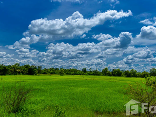 ขาย ที่ดิน ใน ม่วงสามสิบ, อุบลราชธานี