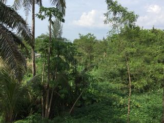 For sale land in Takua Pa, Phang Nga