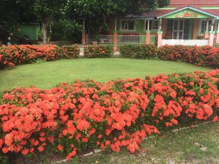 For sale 8 bed house in Kaeng Khoi, Saraburi