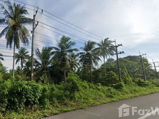 For sale land in Tha Sae, Chumphon