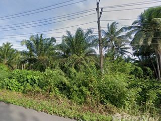 For sale land in Tha Sae, Chumphon