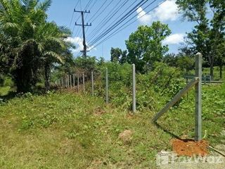 For sale land in Tha Sae, Chumphon