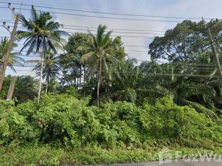 For sale land in Tha Sae, Chumphon