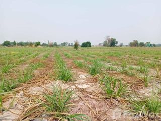 For sale land in Doem Bang Nang Buat, Suphan Buri