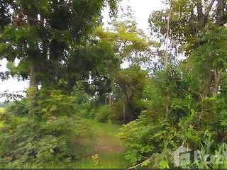 For sale land in Hankha, Chainat