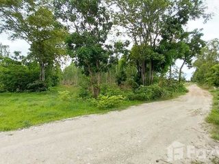 For sale land in Hankha, Chainat