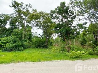 For sale land in Hankha, Chainat