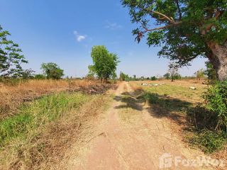 For sale land in Sung Noen, Nakhon Ratchasima