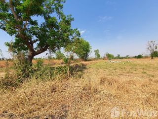 For sale land in Sung Noen, Nakhon Ratchasima