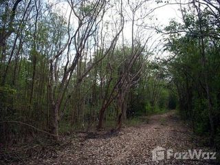 For sale land in Bang Phae, Ratchaburi