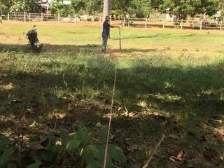 For sale land in Chiang Khan, Loei