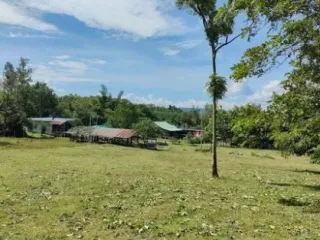 For sale land in Chiang Khan, Loei
