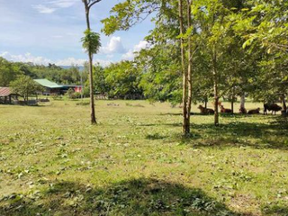 For sale land in Chiang Khan, Loei
