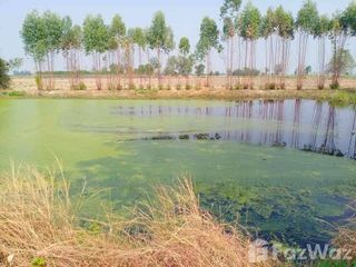 For sale land in Doem Bang Nang Buat, Suphan Buri