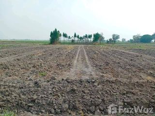 For sale land in Doem Bang Nang Buat, Suphan Buri