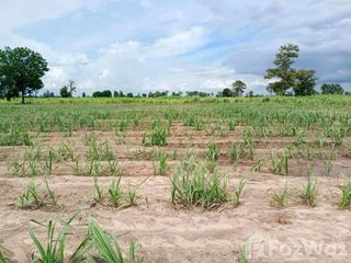 For sale land in Doem Bang Nang Buat, Suphan Buri