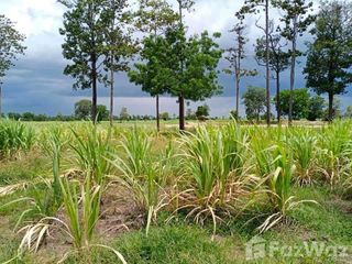 For sale land in Doem Bang Nang Buat, Suphan Buri