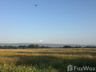 For sale land in Phan, Chiang Rai